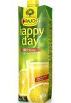 Detailinfo zu Happy Day Fruchtsaft Produkt-Bild