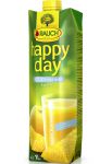 Detailinfo zu Happy Day Fruchtsaft Produkt-Bild