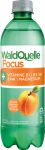 Detailinfo zu Waldquelle Frucht Boost Produkt-Bild